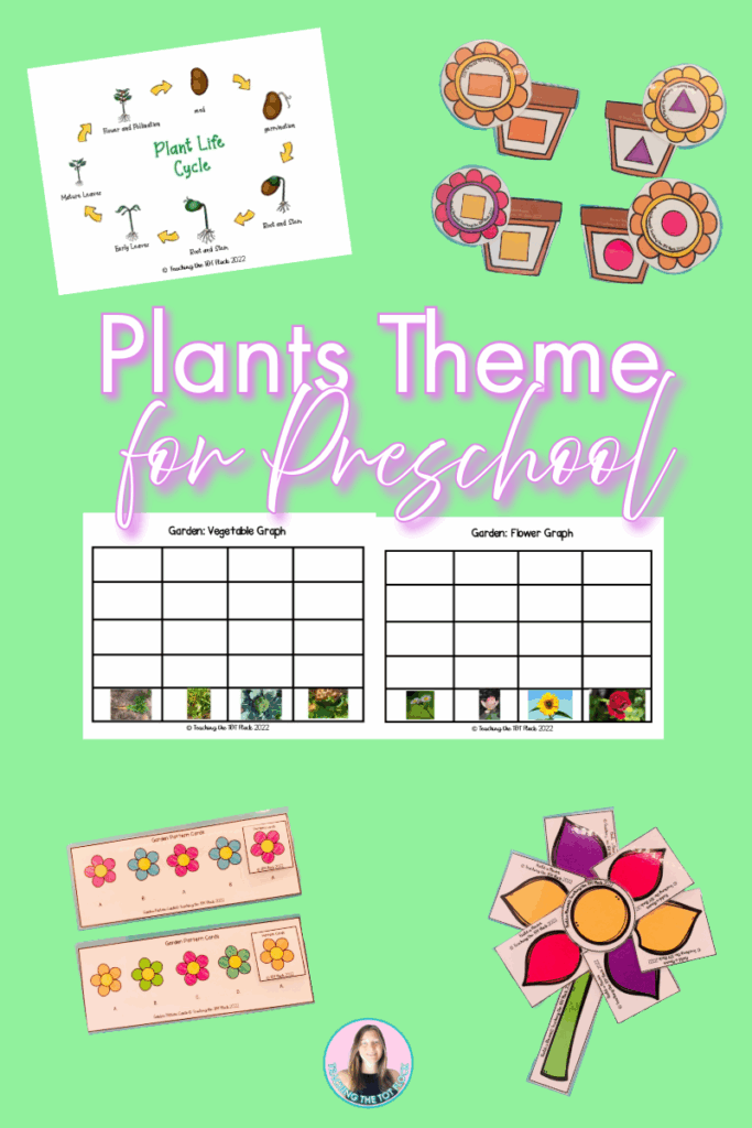 The plants theme for preschool image shows some activities that students can engage in. Some activities include flower shape matching, the life cycle of a plant. and graphing.
